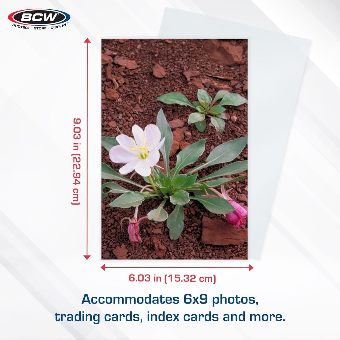 6-Slot Booster Pack Dispenser